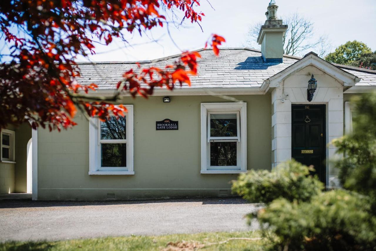 ليسبورن Brookhall Cottages المظهر الخارجي الصورة