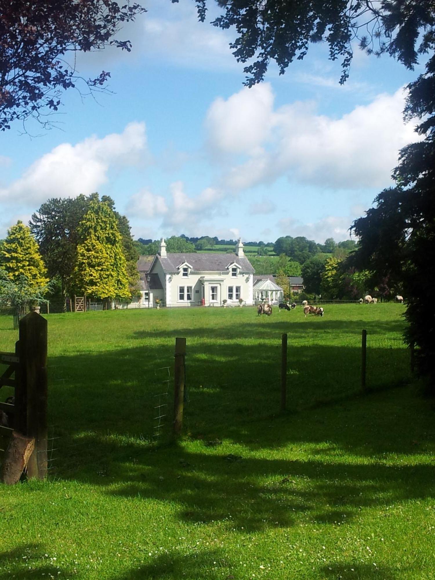 ليسبورن Brookhall Cottages المظهر الخارجي الصورة